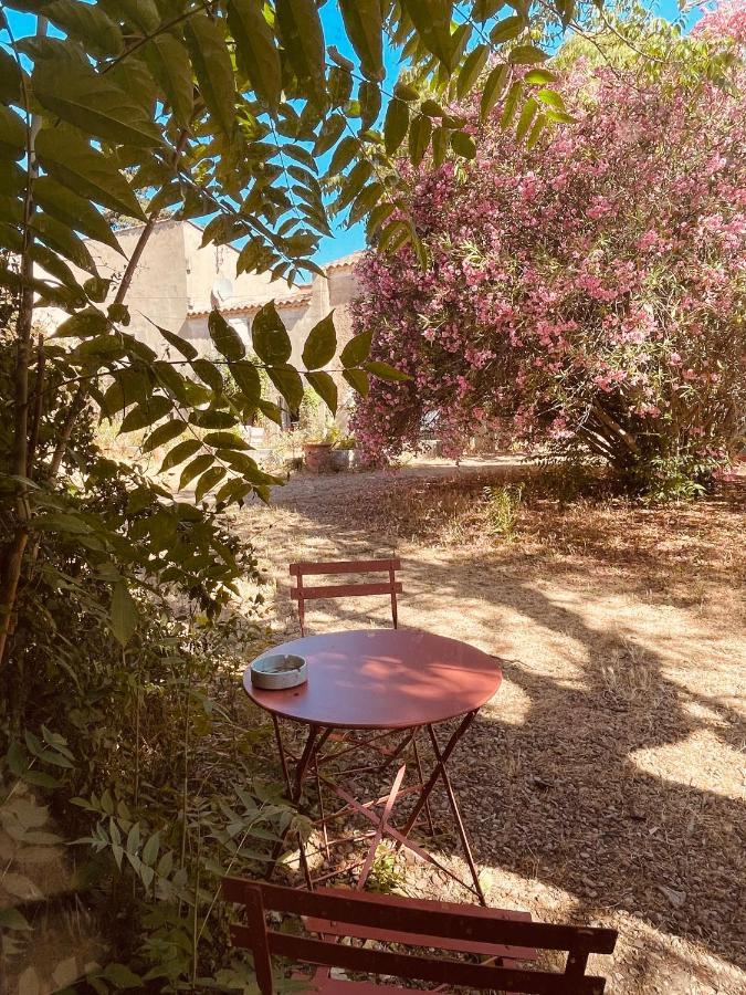 Tres Belle Rotonde Deco Boheme, Tennis, Parking 尼姆 外观 照片